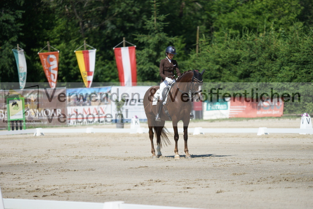 DSC03095 | equestrian-live-com