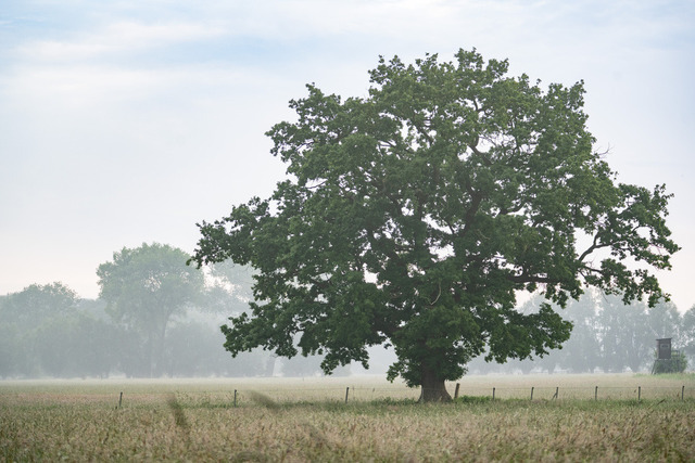 7M302428 | Outdoorpixl Teßen OHG - Realisiert mit Pictrs.com