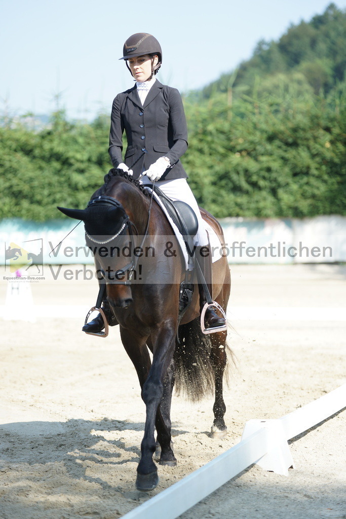 DSC01384 | equestrian-live-com