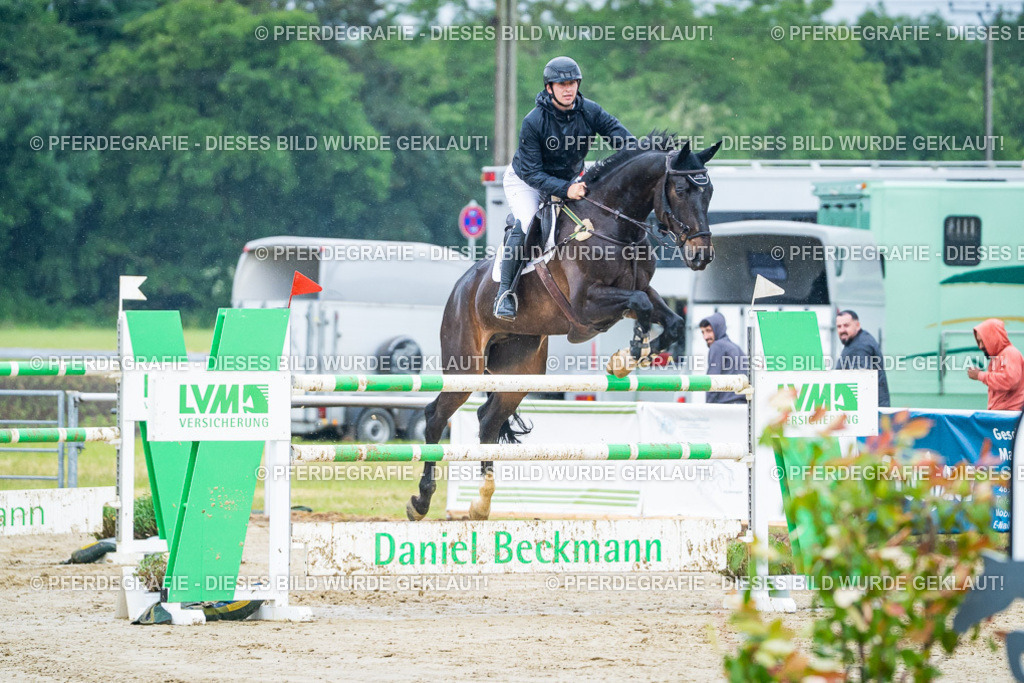 DSC00133 | Pferdegrafie