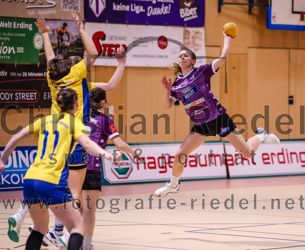 2025-02-15_015_SpVgg_Altenerding_gegen_MTV_Pfaffenhofen | Erding, Deutschland, 15.02.2025:Handball, Bezirksoberliga Frauen Altbayern 2024 / 2024, 14. Spieltag, SpVgg Altenerding gegen MTV Pfaffenhofen, Endergebnis: 27:23Leonie Sterz (MTV Pfaffenhofen, #11), Sophie Lößl (SpVgg Altenerding, #14)Foto: Christian Riedel / fotografie-riedel.net