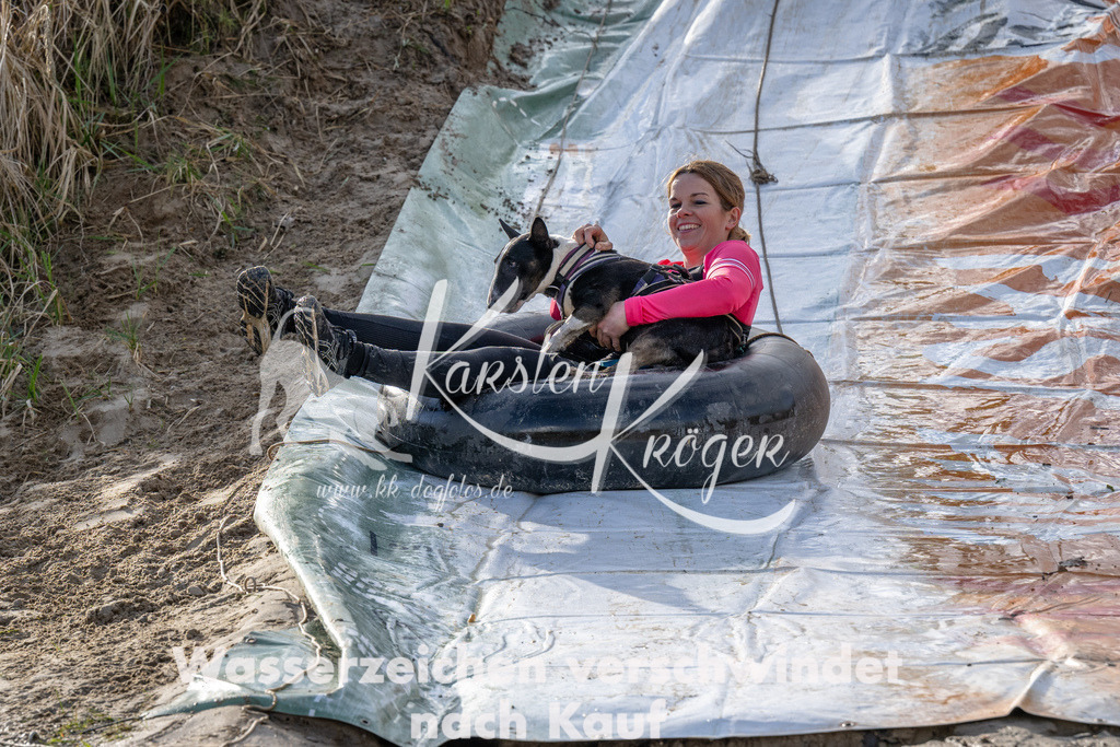 1608_ZZ93561 | kk-dogfotos