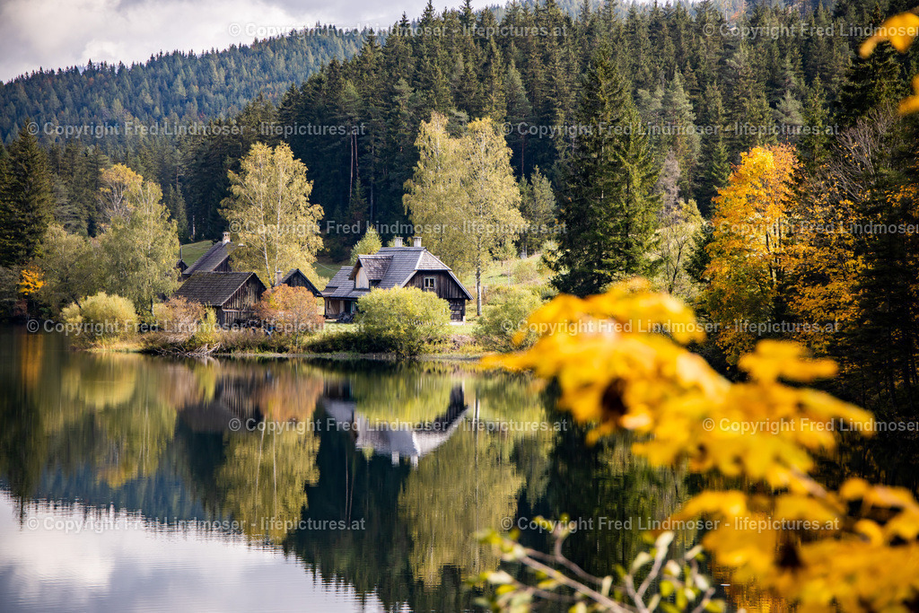 Hubertussee walstern weisenblasen 2019-0772 | Fotos und Fotoprodukte - Realisiert mit Pictrs.com