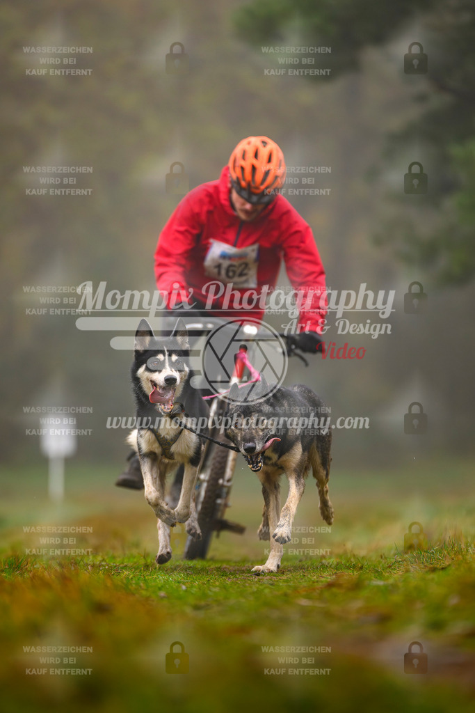 MompixPhotography_Bischwiller2025_Scooter-7 | mompixphotography