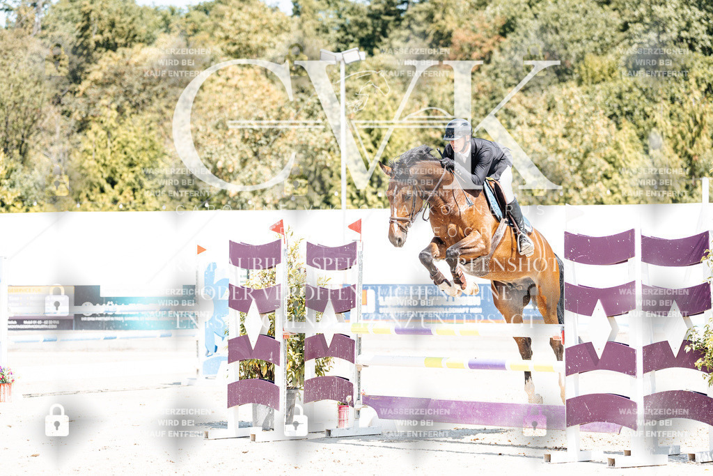 CK900130 | Turnierfotografie Pferdefotografie Trier Rheinland-Pfalz Pferdesport Reitsport Tierfotografie Sportfotografie Pferdevideo Pferdevideografie Equestrianvideography equestrianphotography  - Realisiert mit Pictrs.com