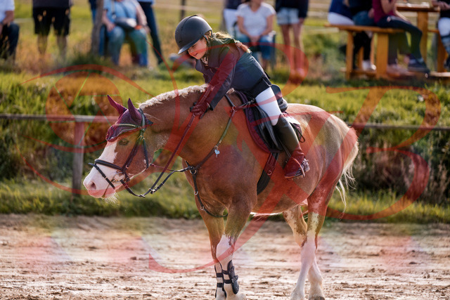 2026_10_03_Siefer-Hof_144535_Z81_21244201 | Professionelle Reitsport-, Turnier- und Eventfotografie von Robert Broda. Galerien mit ausgewählten und bearbeiteten Bildern direkt online ansehen und bestellen.