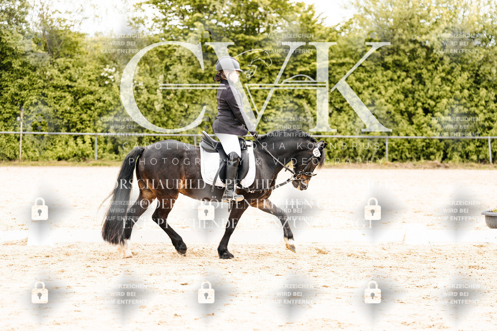 CK904265 | Turnierfotografie Pferdefotografie Trier Rheinland-Pfalz Pferdesport Reitsport Tierfotografie Sportfotografie Pferdevideo Pferdevideografie Equestrianvideography equestrianphotography  - Realisiert mit Pictrs.com