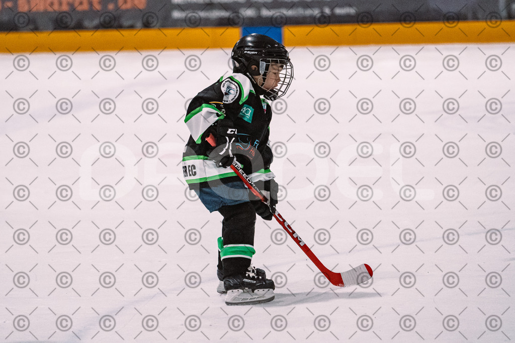 Alligators_vs_Erding_01_02_2026-23 | Höchstadt Alligators Fotogalerie: Eishockey-Action aus Franken. Professionelle Spielfotos, Portraits & Stadionbilder zum Download. Jetzt entdecken! - Realisiert mit Pictrs.com