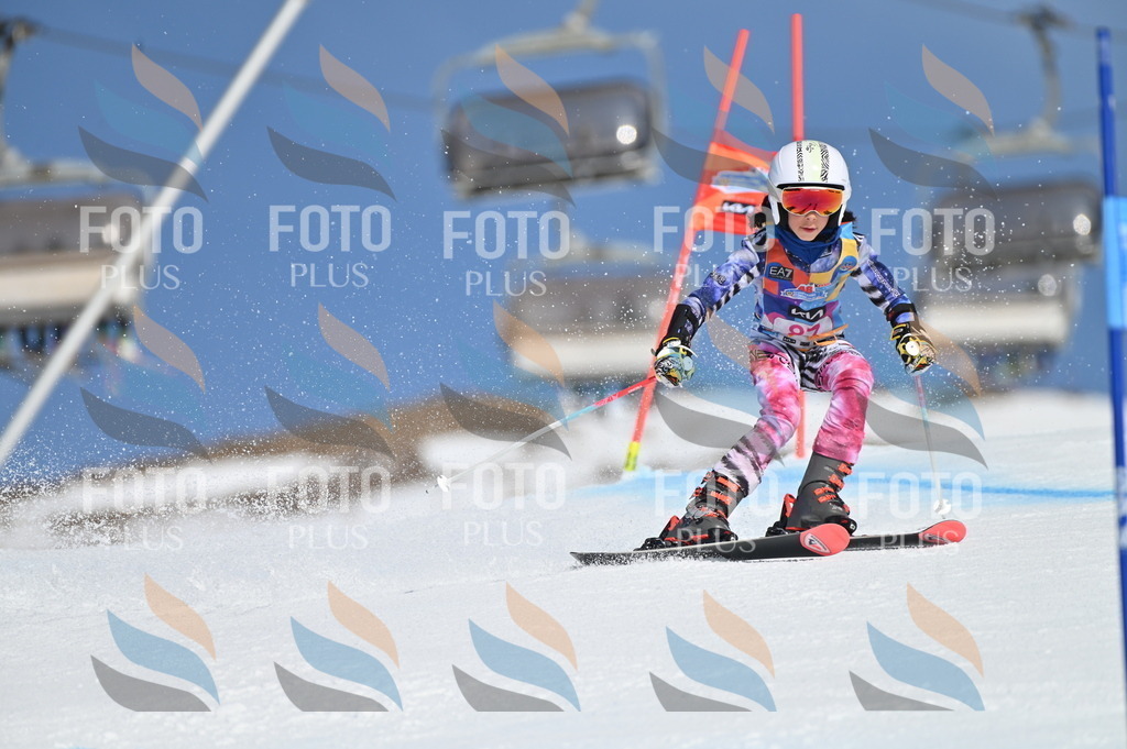 BGV_9192 | holidayphoto