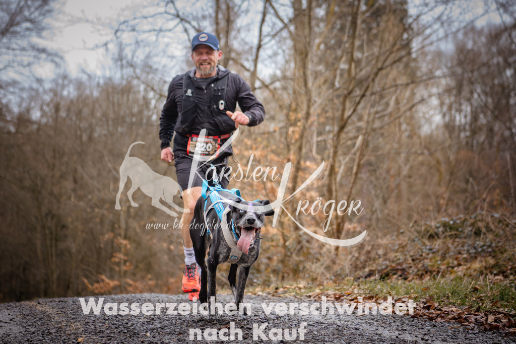 1024_ZZ95552 | kk-dogfotos