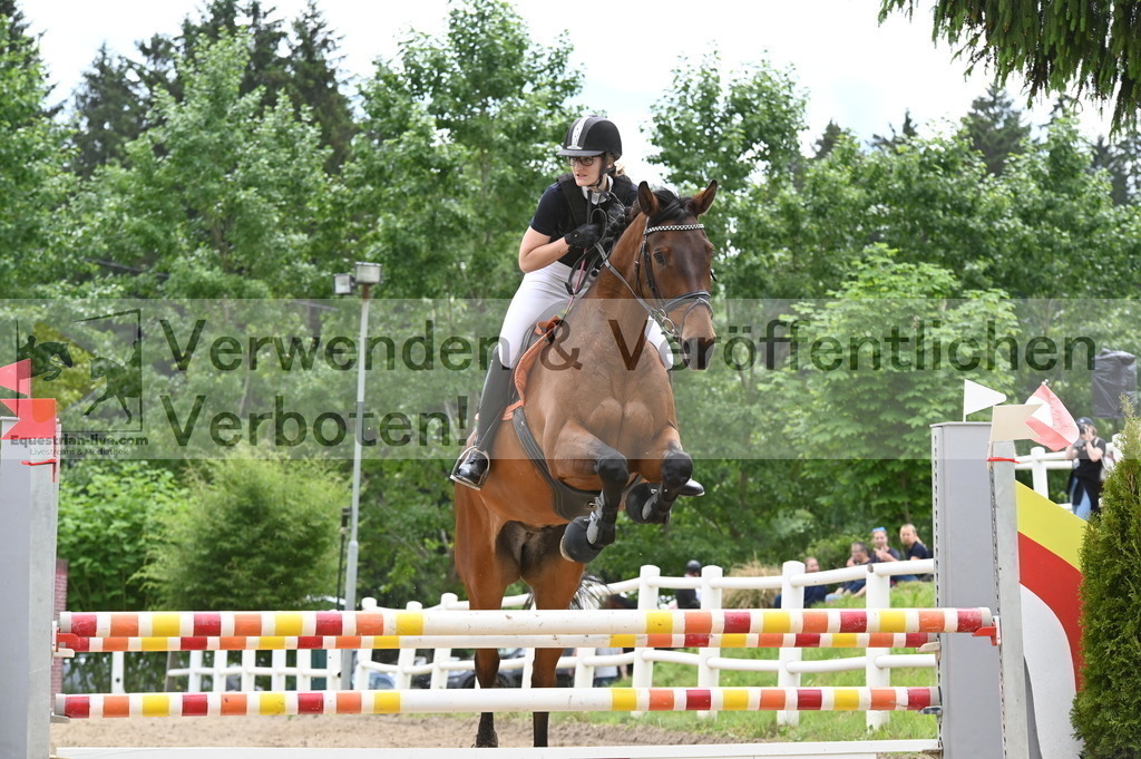 DSC_8451 | equestrian-live-com