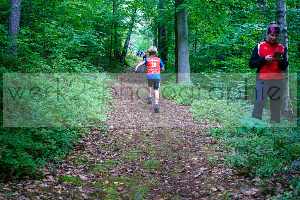 Rolf-Schumann-Gedächtnislauf | Frankenhain, 30.08.2025
