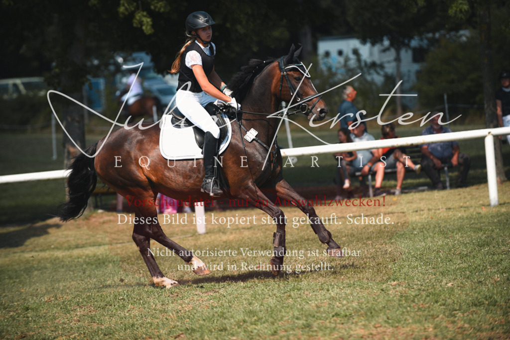 DSC_6968 | Pferde- und Turnierfotografie in Westsachsen. Pferdeportraits, Auftragszeichnungen und intuitive Kunst.