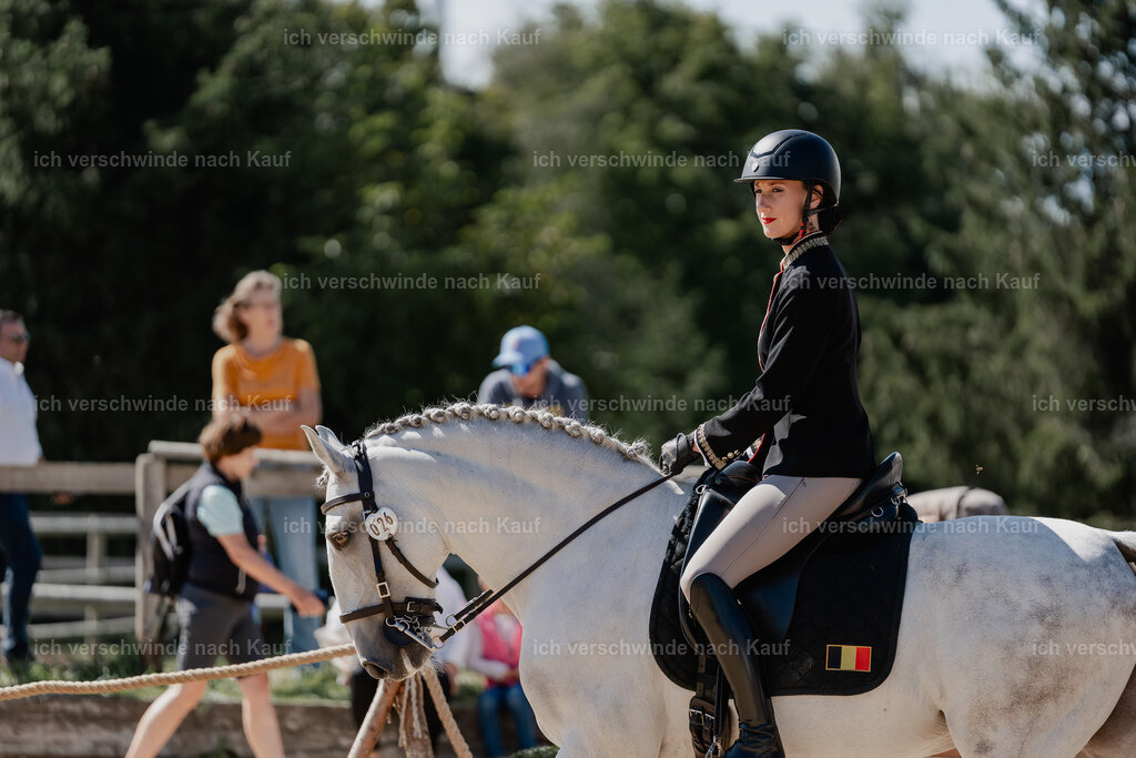 Virginie12FHC2025-08552 | working equitationturnier fotograf videograf stoibphotography marixx film working equitation deutschland reitsport turnierfotografie eventfotografie equestrian events
