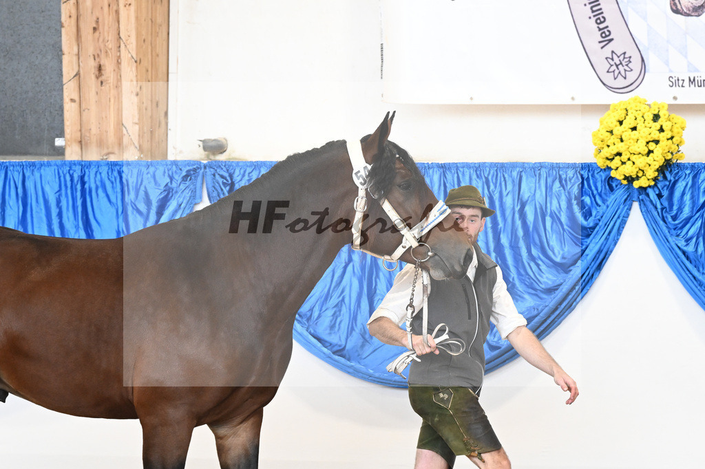 Kat-Nr. 54 nn v. Robin_Birkholz_39250857 | hf-fotografie - Realizzato con Pictrs.com