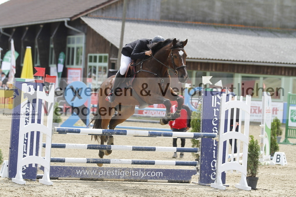 _MG_2288 | equestrian-live-com