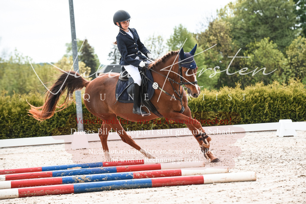 20230518_JK-Röhrsdorf-10-037 | Pferde- und Turnierfotografie in Westsachsen. Pferdeportraits, Auftragszeichnungen und intuitive Kunst.