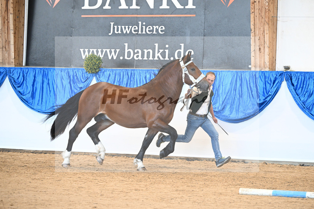 Kat-Nr. 46 Gideon v. Grenoble S_Engelhard_39250746 | hf-fotografie - Realizzato con Pictrs.com