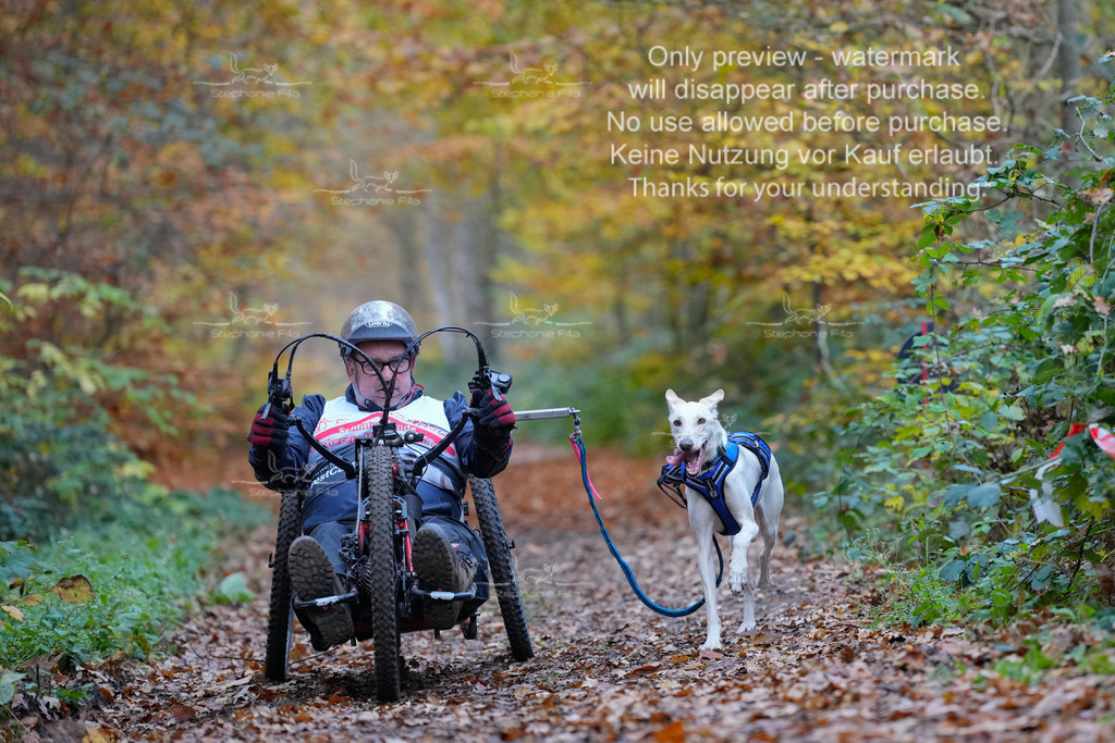 Scooter_So-49 | stephaniefillaphotographie - Realisiert mit Pictrs.com