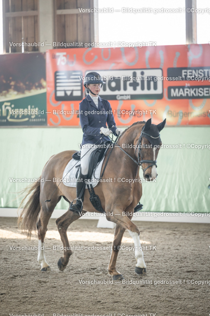 _D5A0589 | Emotionale Pferde- & People-Fotografie rund um Heidelberg, Leimen & Umgebung. Natürliche Fotos von Pferd, Mensch & Familie. Jetzt Termin sichern!