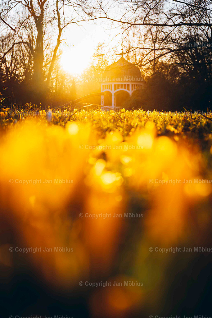 _DSC6192 | Leipzig Wandbilder Drucke Prints Leinwand Stadtmotive Leipzig Fotosdruck Kunstdrucke Bilder Leipzig Stadtansichten Acrylglasbilder Leipzig Wanddeko Fine Art Prints Wandbilder Büro Leipzig Bilder Praxis Zuhause Bilderdruck Poster Posterlounge Kunstdrucke - Realisiert mit Pictrs.com