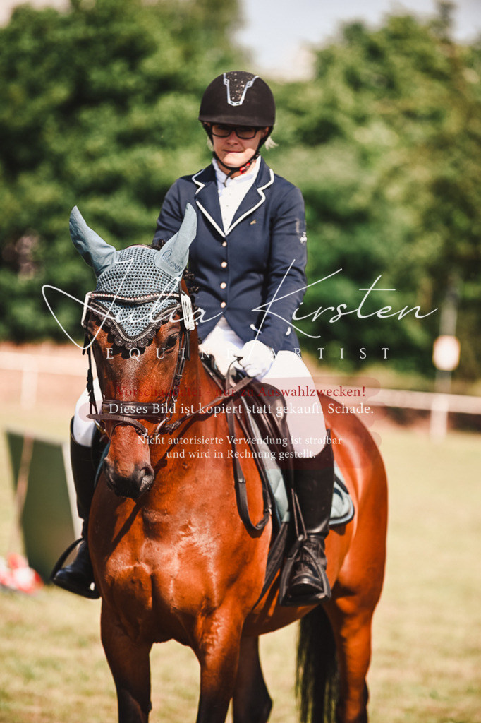DSC_7311 | Pferde- und Turnierfotografie in Westsachsen. Pferdeportraits, Auftragszeichnungen und intuitive Kunst.