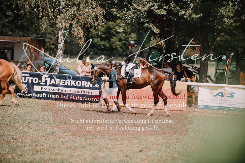 DSC_6003 | Pferde- und Turnierfotografie in Westsachsen. Pferdeportraits, Auftragszeichnungen und intuitive Kunst.