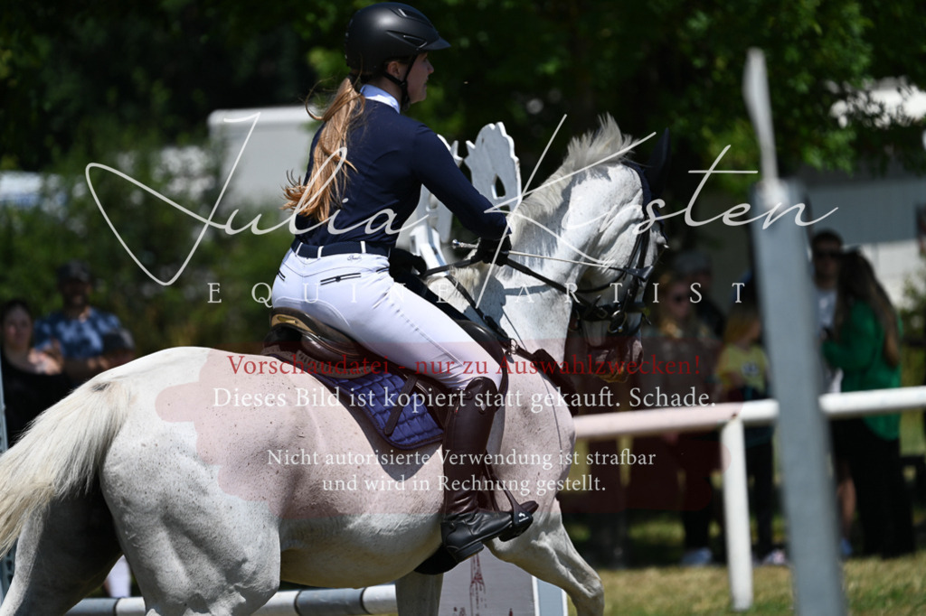 DSC_0567 | Pferde- und Turnierfotografie in Westsachsen. Pferdeportraits, Auftragszeichnungen und intuitive Kunst.
