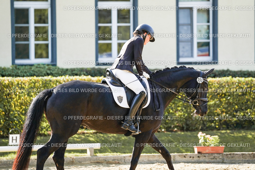 DSC06664 | Pferdegrafie