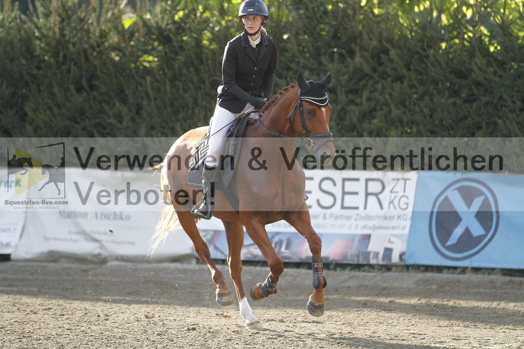 _MG_4201 | equestrian-live-com