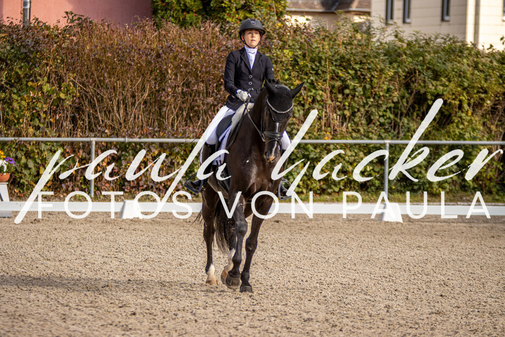 IMG_4226 | Erleben Sie dynamische Sport- und emotionale Tierfotografie in Süddeutschland mit Fotos von Paula. Spezialisiert auf Pferde- und Hundefotografie sowie Sportevents. Kontaktieren Sie mich für einzigartige und ausdrucksstarke Bilder Ihrer besonderen Momente. - Realisiert mit Pictrs.com