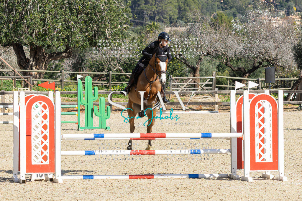 IMG_3868 | s-jay-photography - Realisiert mit Pictrs.com