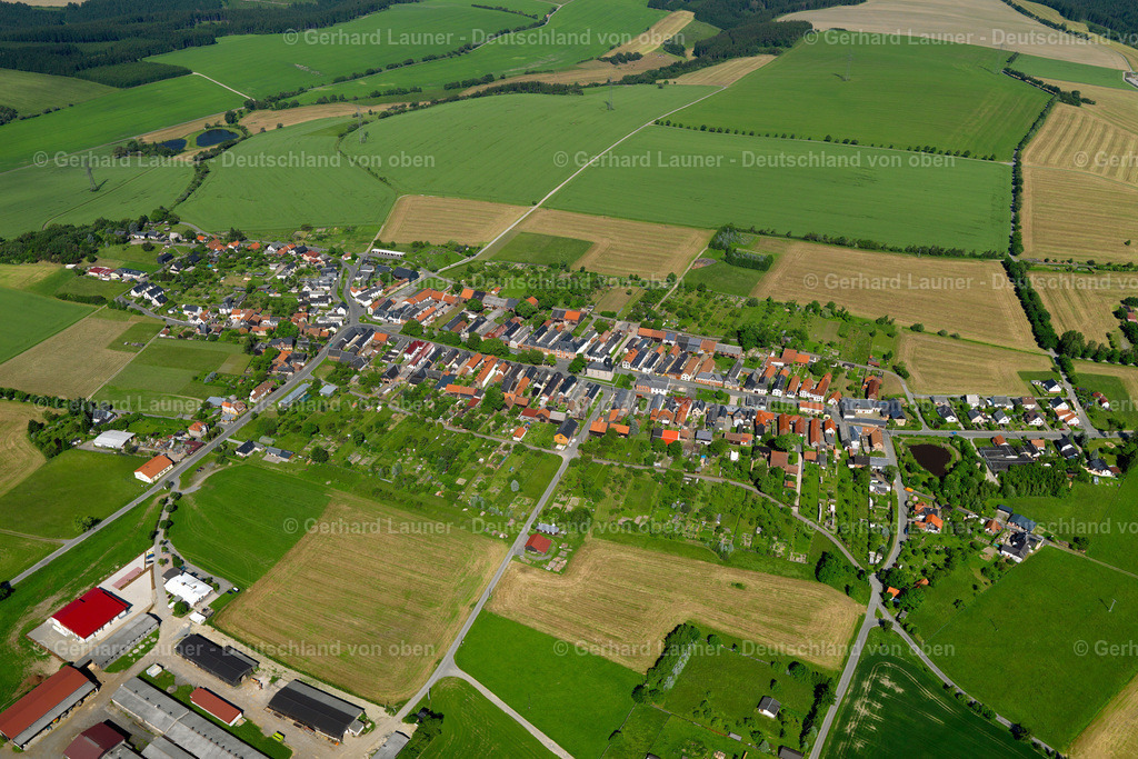 3002174 | Liebengrün