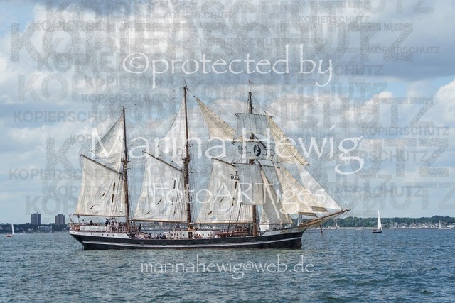 Windjammer24_MarinaHewig-4752-2 | Fotografie, FotoArt, PferdesportArt, Pferdesportfotografie, Landschaftsfotografie, Reisefotografie, Reise, Pferde - Realisiert mit Pictrs.com