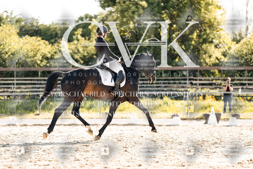 CK909907 | Turnierfotografie Pferdefotografie Trier Rheinland-Pfalz Pferdesport Reitsport Tierfotografie Sportfotografie Pferdevideo Pferdevideografie Equestrianvideography equestrianphotography  - Realisiert mit Pictrs.com
