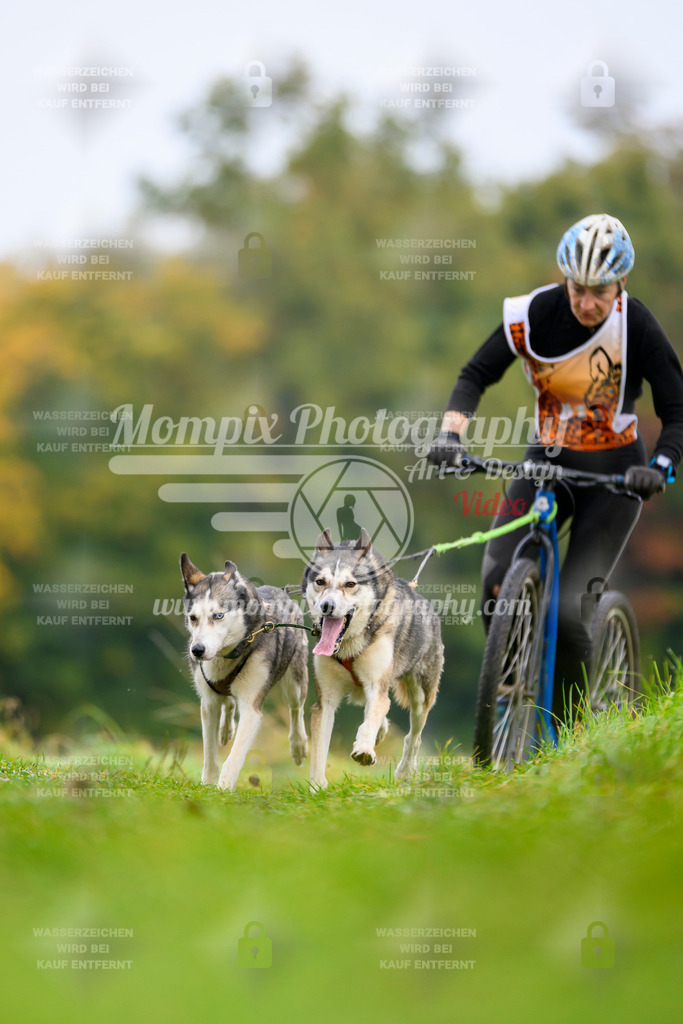 MompixPhotography_CDLBDB2025_DI_DS-16 | PayLife