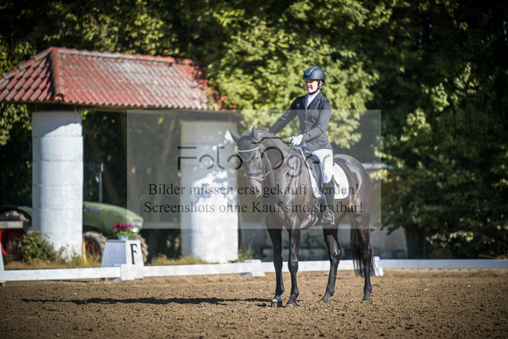 DOS_1515 | Entdecke hochwertige Reitturnierfotos von Foto Oger. Professionell, emotional und authentisch – jetzt Lieblingsmomente im Shop bestellen.Deutschlandweite Turnierfotografie. - Realisiert mit Pictrs.com