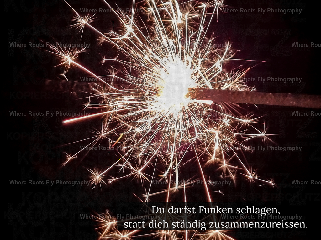 Affirmationskarten - 1 | mtkfoto_ - Realisiert mit Pictrs.com