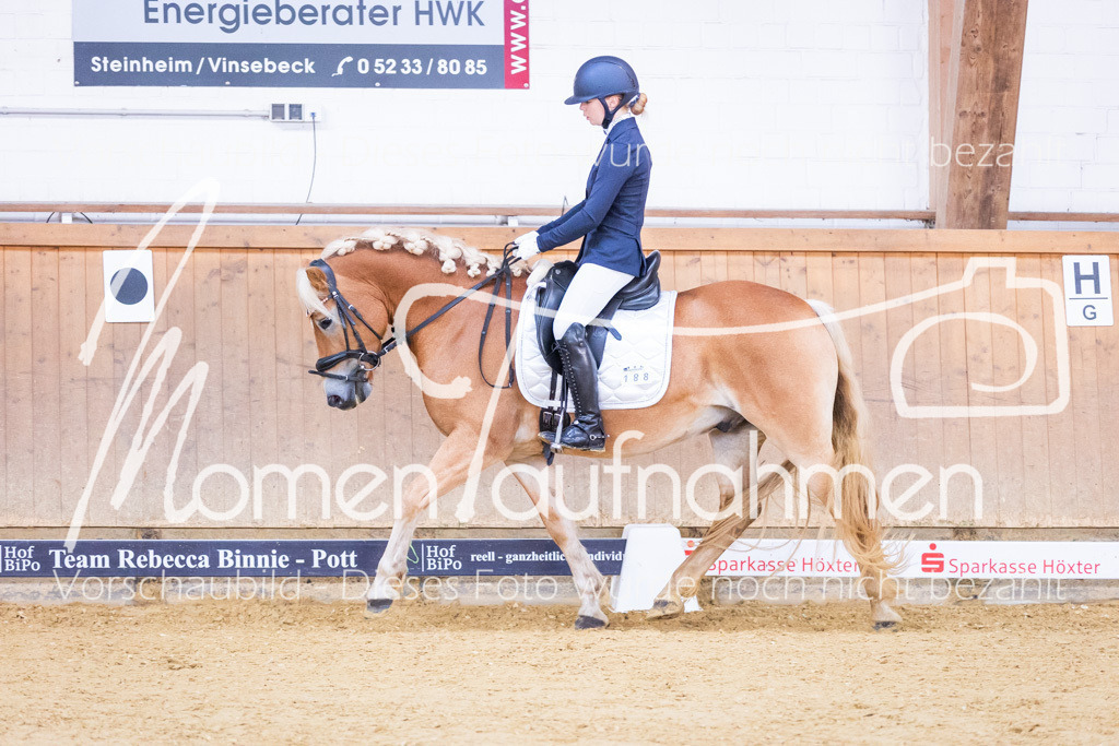 Sth-A-Dre-1St-081 | MomenTaufnahmen Pferdesportfotos