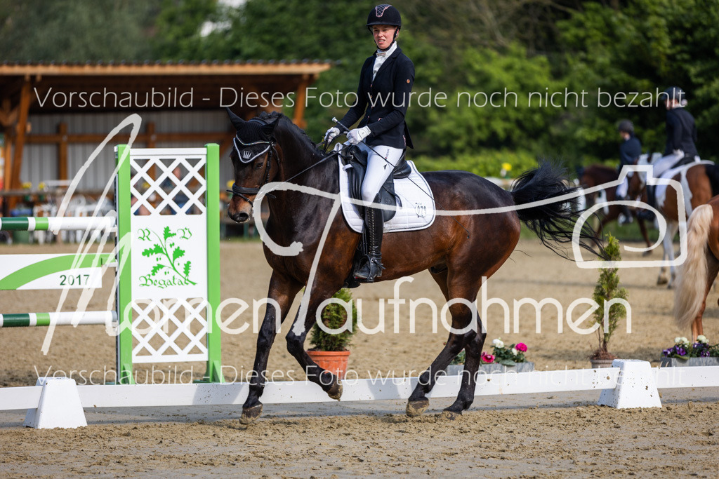 Donop24-A-Dre-082 | MomenTaufnahmen Pferdesportfotos