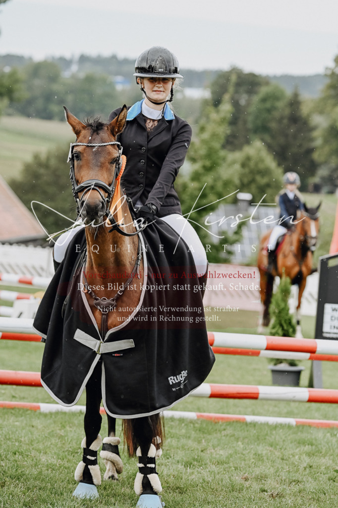 DSC_7093 | Pferde- und Turnierfotografie in Westsachsen. Pferdeportraits, Auftragszeichnungen und intuitive Kunst.
