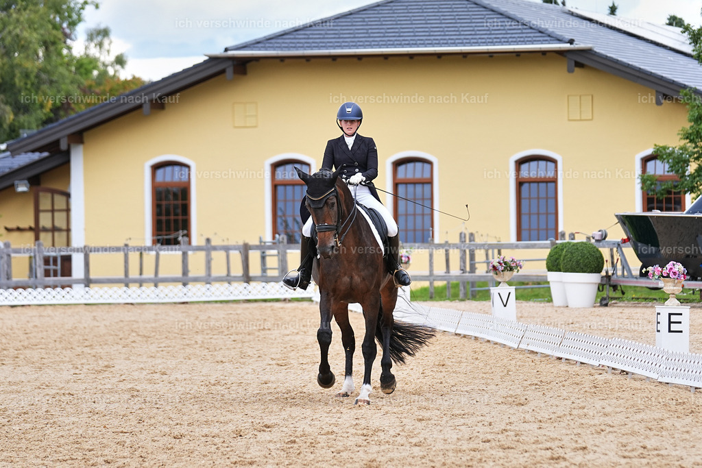 6-086-AMATUER-DRESSUR S_  -Marixx-3742 | working equitationturnier fotograf videograf stoibphotography marixx film working equitation deutschland reitsport turnierfotografie eventfotografie equestrian events