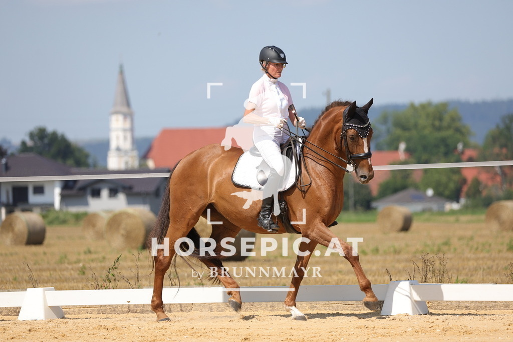 0P6A7598 | Willkommen bei Brunnmayr - Design & Fotografie – Ihrem Spezialisten für Reitturniere und Pferdeveranstaltungen in Oberösterreich, Salzburg und Bayern! Seit über 17 Jahren sind wir leidenschaftlich dabei.