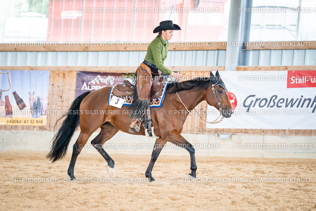 DSC02863 | Pferdegrafie