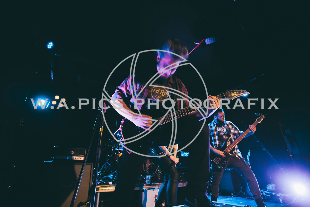 A-Willdoner_20260117_74 | Sport-,  Presse- und Eventbegleitung!
Contact me !
