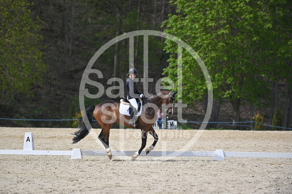 DSC_4211 | sattelsport - Realisiert mit Pictrs.com