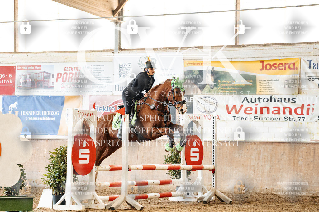 CK905452 | Turnierfotografie Pferdefotografie Trier Rheinland-Pfalz Pferdesport Reitsport Tierfotografie Sportfotografie Pferdevideo Pferdevideografie Equestrianvideography equestrianphotography  - Realisiert mit Pictrs.com