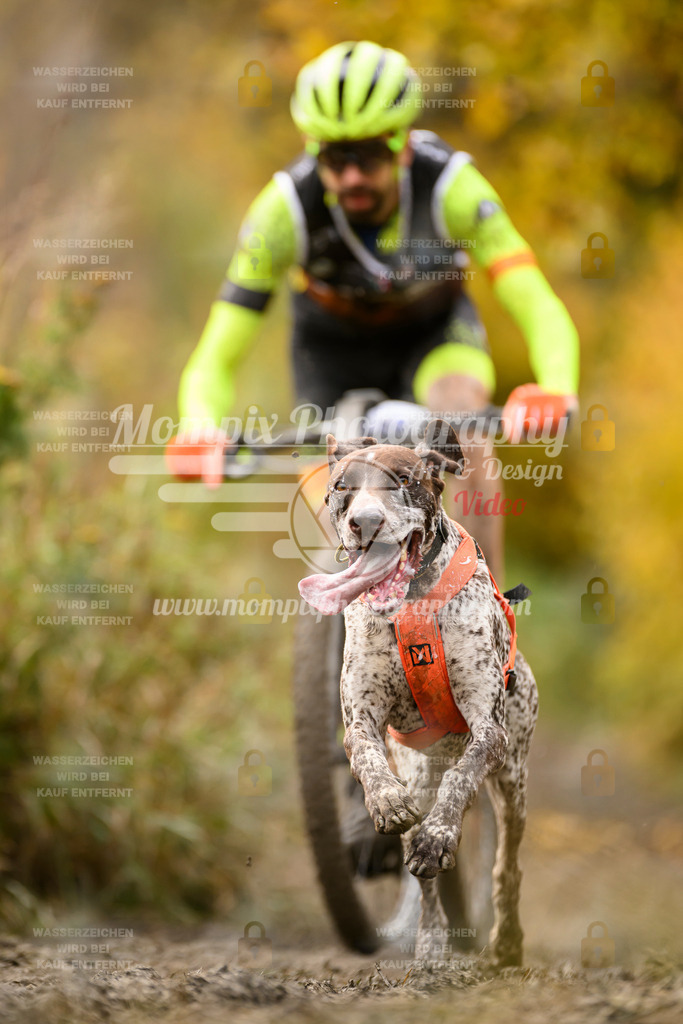 MompixPhotography_ICF_WC_2024_SA_Bike_-177 | PayLife