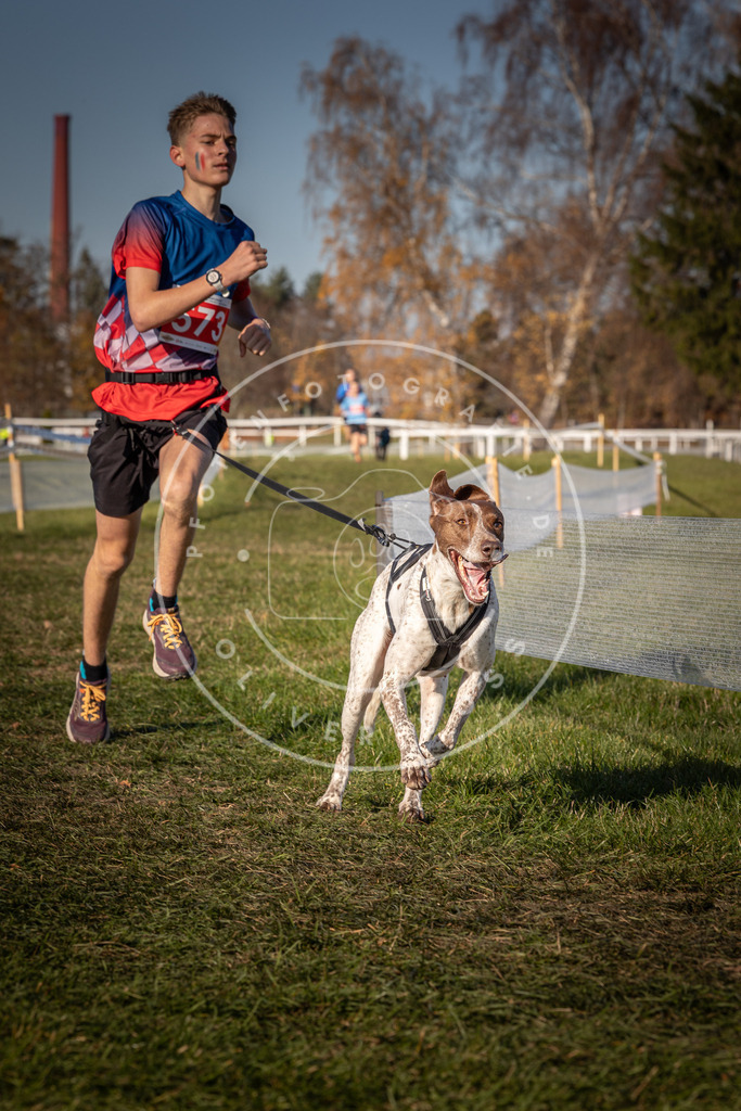 CaniXpix_0L8A8047 | Hundefotografie, Tierfotograf, Pfotenfotografie, Fotoshooting Hund, Hunde Portrait, Hundesport, Hundeportraits, Heideshooting, Hunde, Sportfotograf, Hundefotograf, Turnierhundsport, THS,  - Realisiert mit Pictrs.com