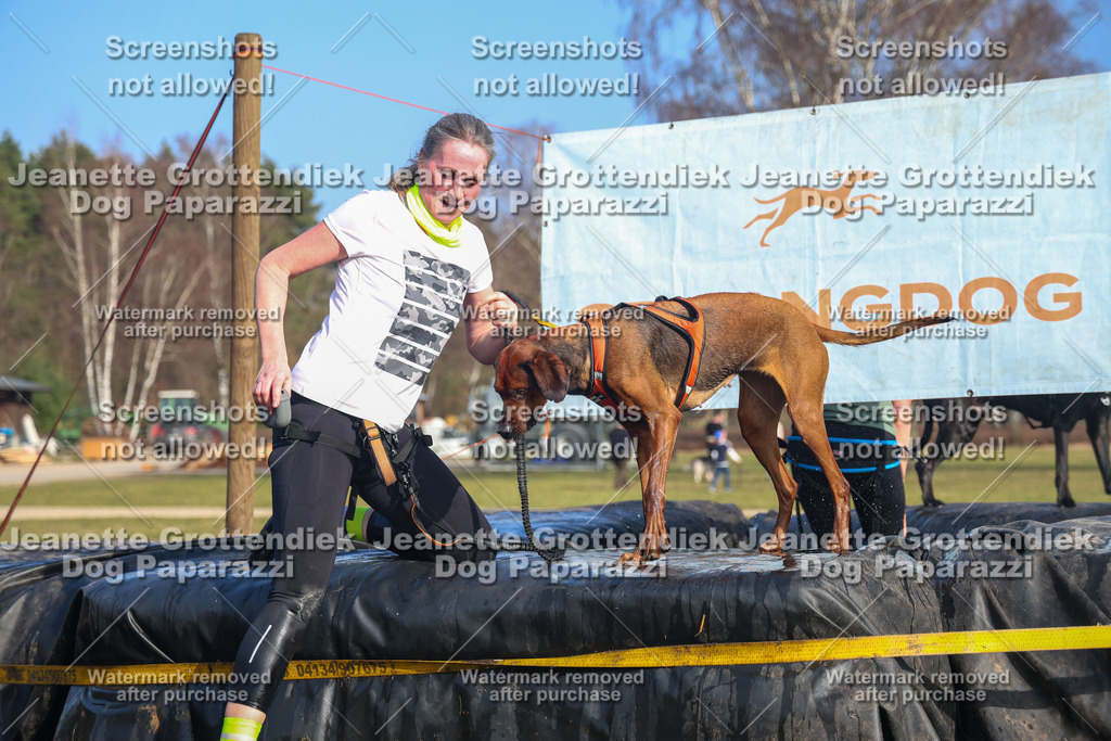 Dog Paparazzi - Strongdog North Mrz26-3403 | Dog Paparazzi Jeanette Grottendiek Fotografie & Videografie - Realisiert mit Pictrs.com
